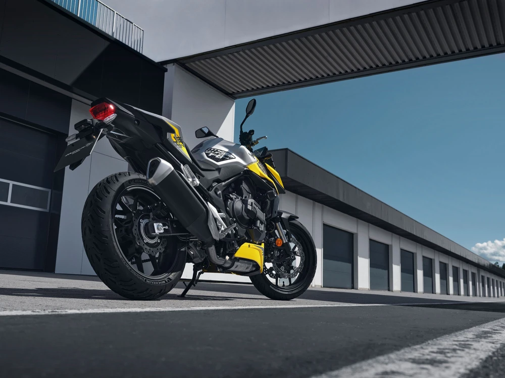 Dinamično upravljanje