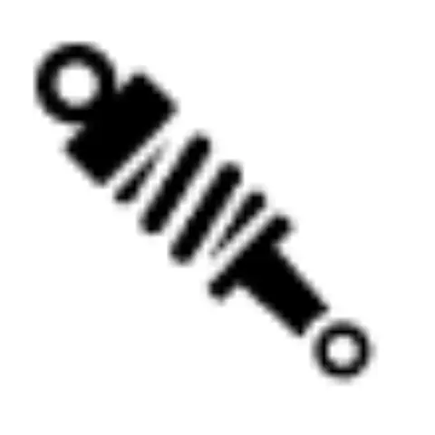 Elektronsko vešanje